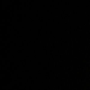 Meet your Posher, Louise